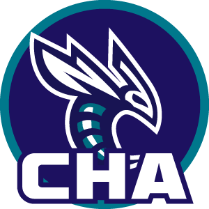 黄蜂(Hornets)